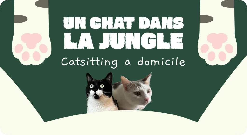 Création supports print pour Un Chat dans la Jungle, catsitter certifiée ACACED région lilloise